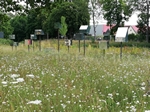 Bürgerpark