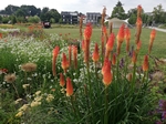 Bürgerpark