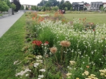 Bürgerpark