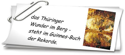 Feenfrotten